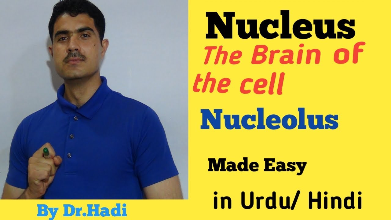 L-15 Detail concept of Nucleus and Nucleolus  in Urdu Hindi by Dr Hadi