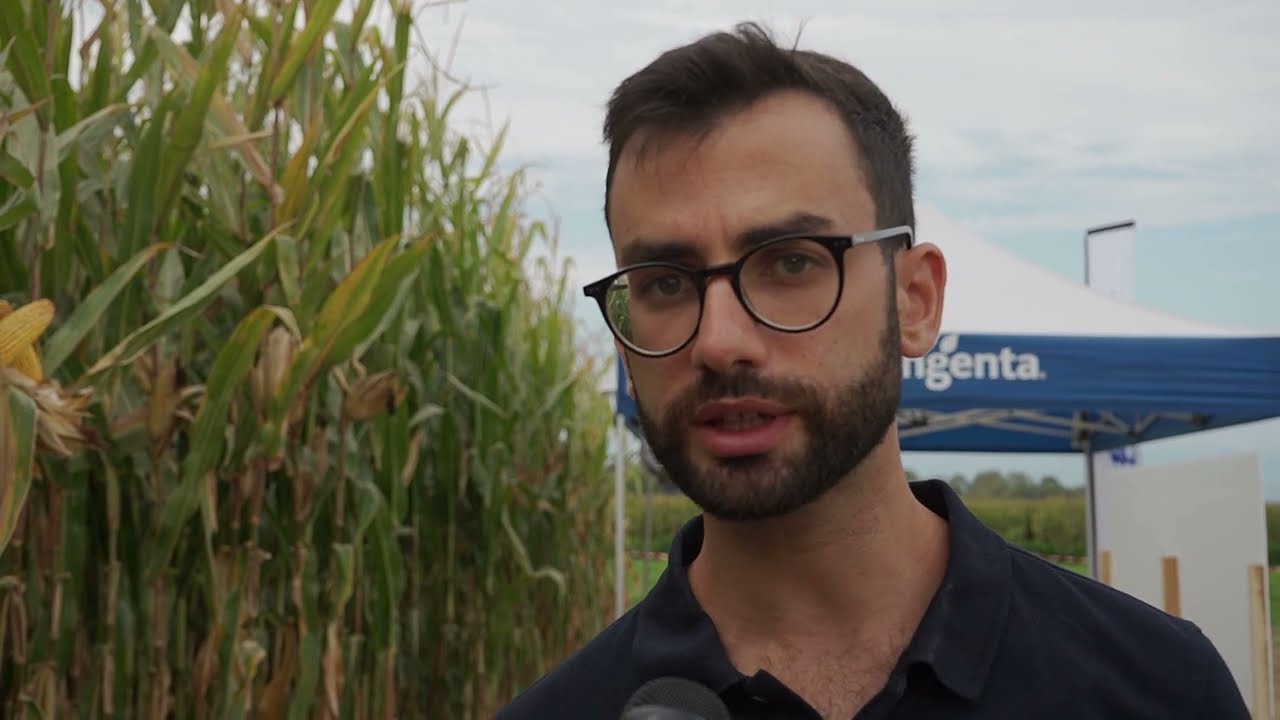 Presentazione ibridi mais Syngenta - Fondazione Podere Pignatelli 26/08/2022