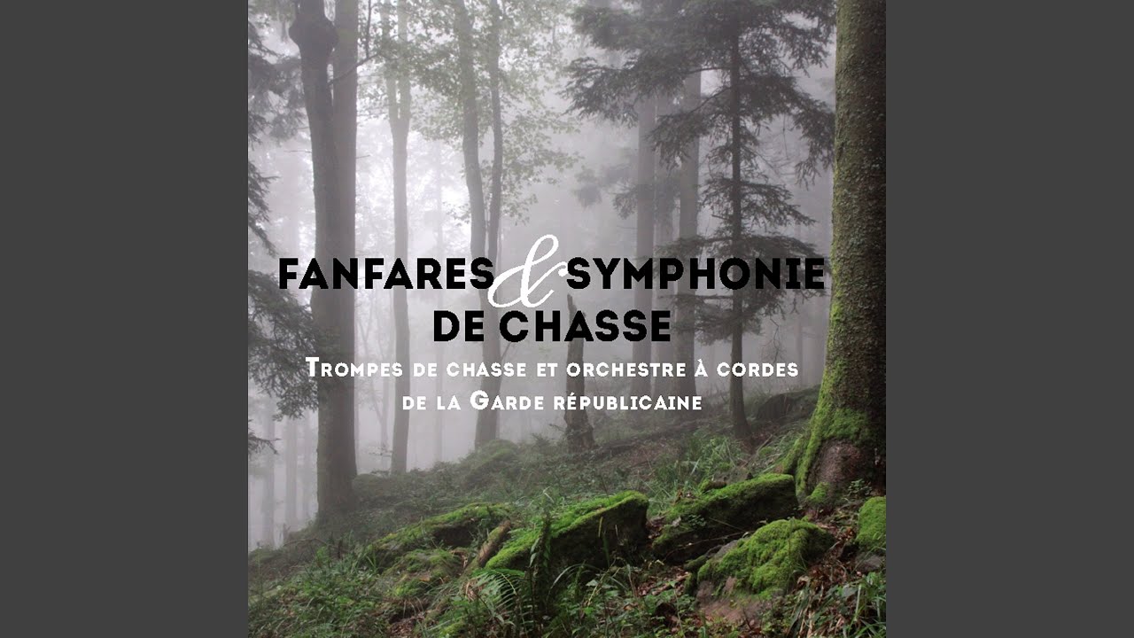 Symphonie de chasse, deuxième suite: Air, prélude