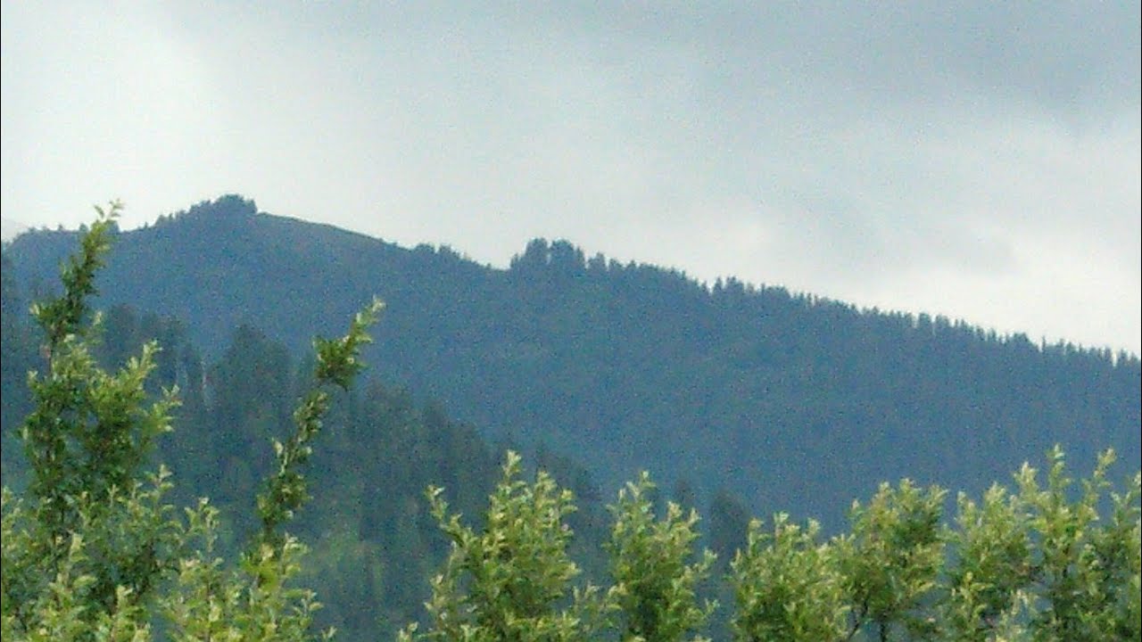 radhe krishna 🙏🙏