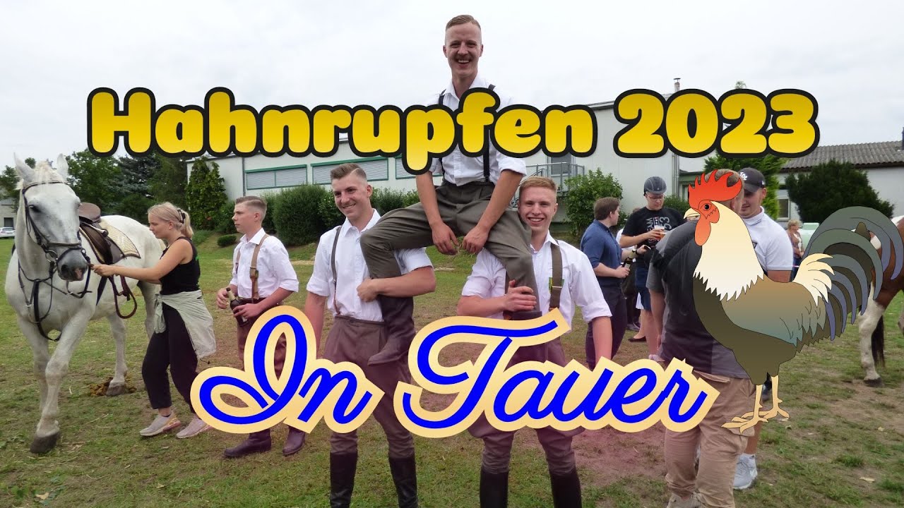 Hahnrupfen in Tauer 2023 #brauch #tradition