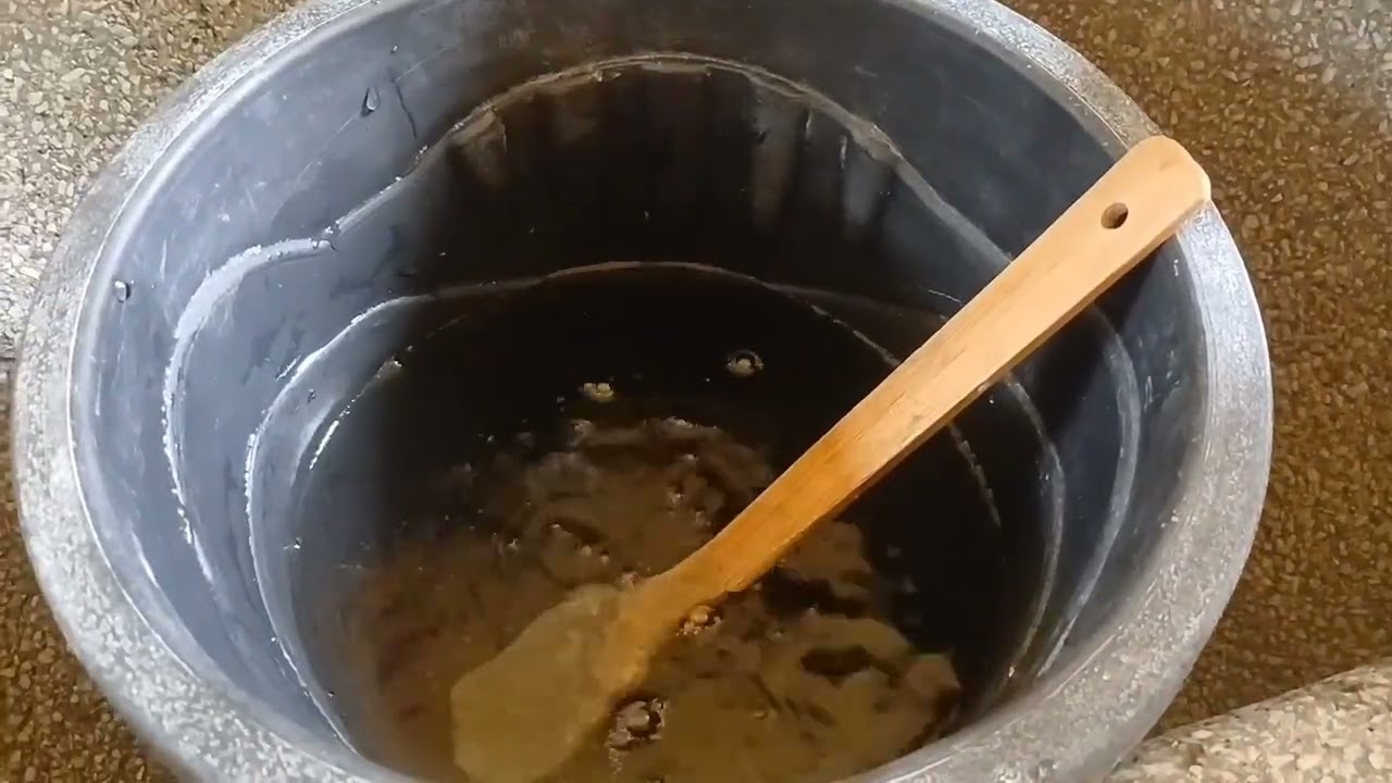   Como acaba os caramujos no quintal  