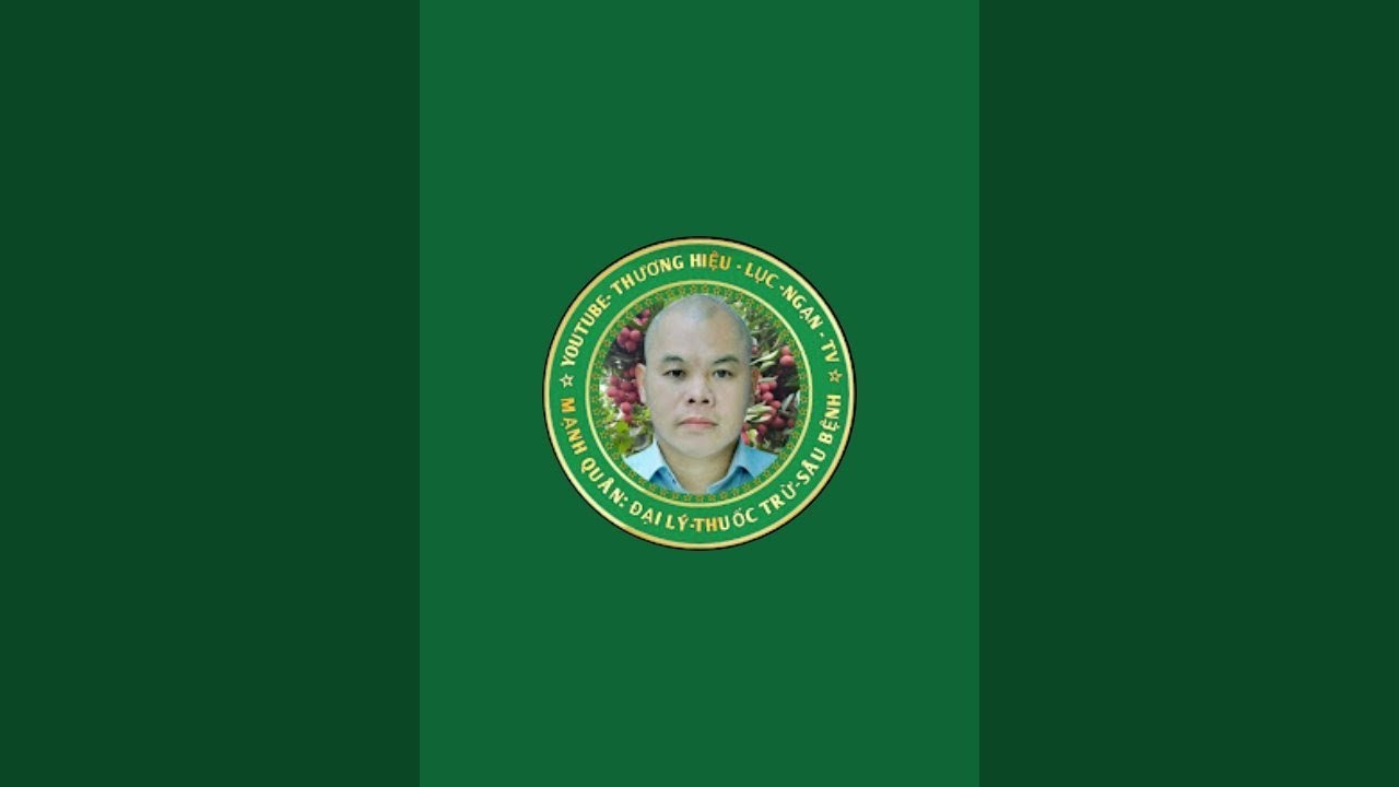 thăm vườn vải nhà mạnh Quân 2026