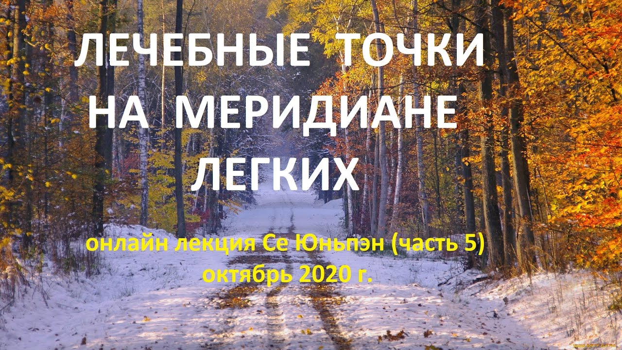 5.  Лечебные точки на меридиане легких