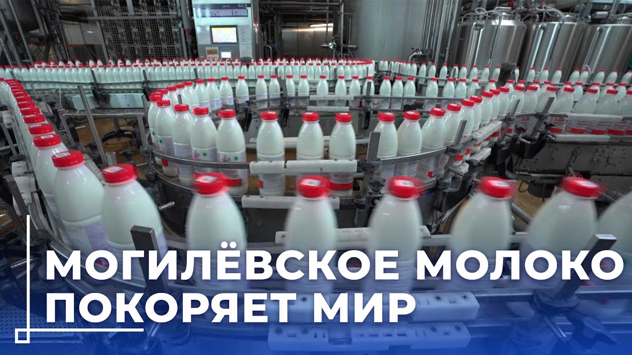 Молочку из Могилёва пьют в Азии и Африке / 26 стран и новые контракты