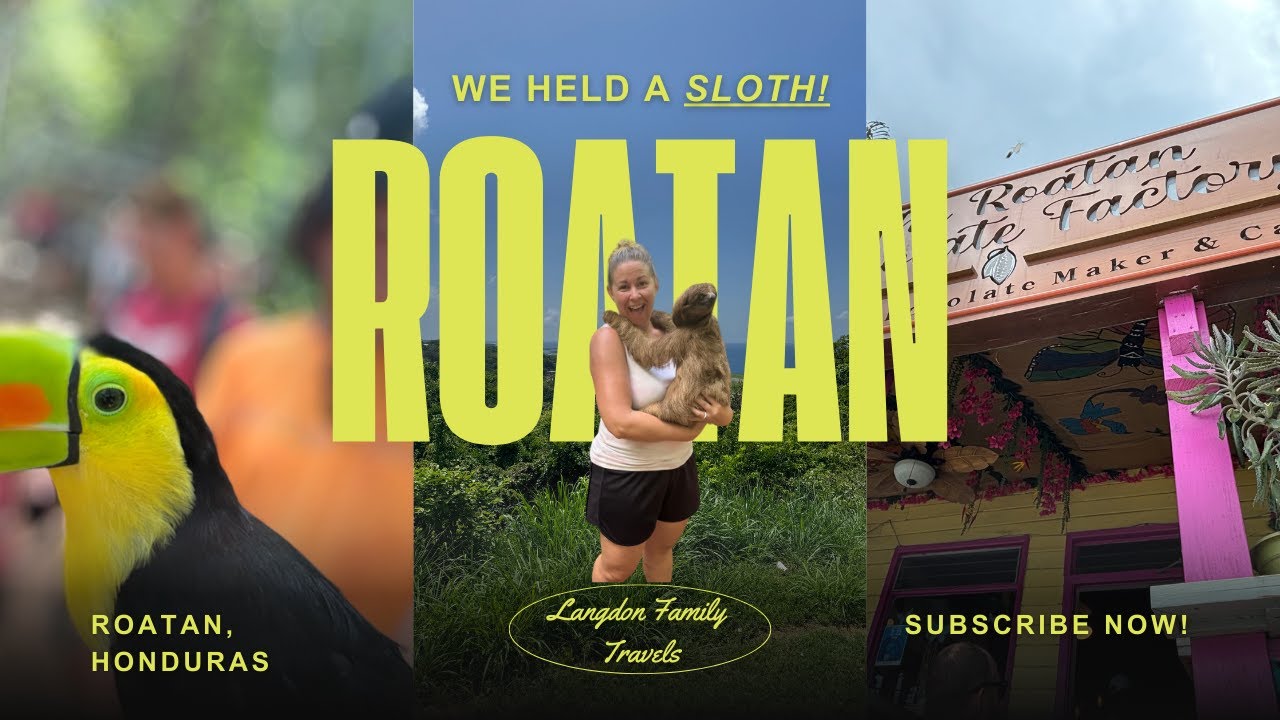 Roatan's Best Excursion! Sloths, Monkeys & Chocolate 🍫🌴