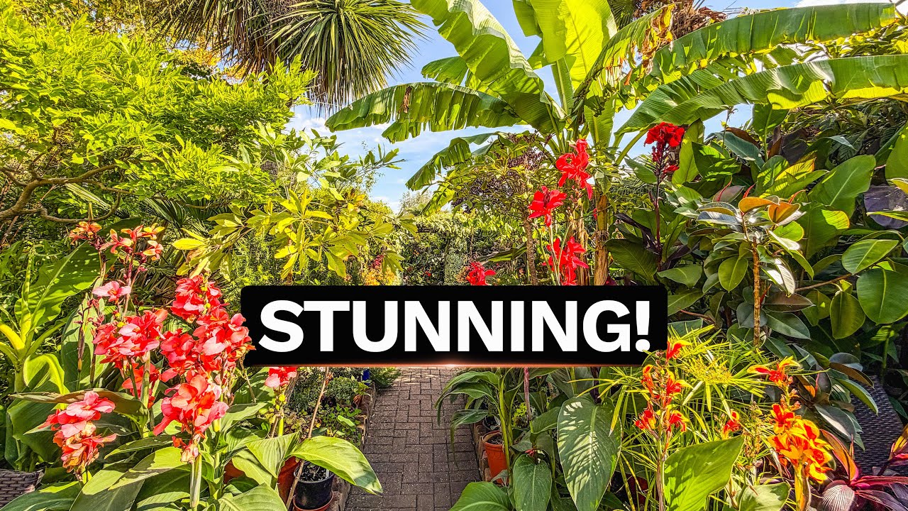 Tropical Plants & Summer Inspiration at The Secret Garden of Louth
