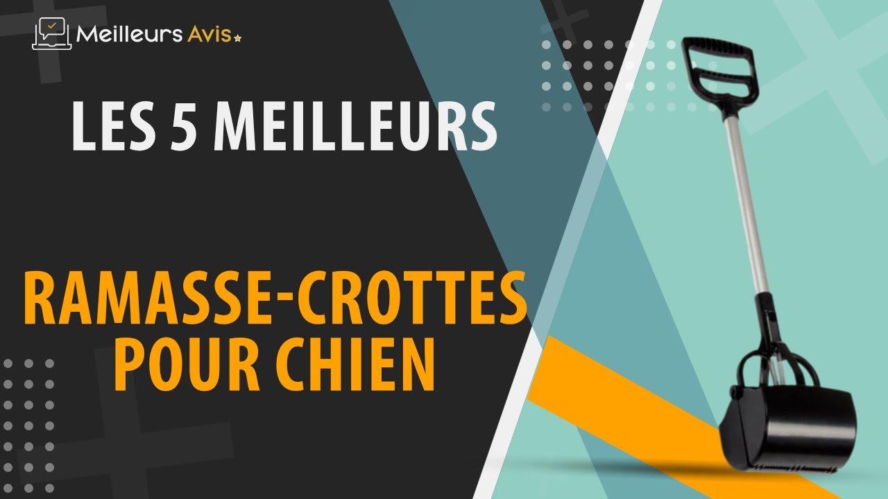 ⭐️ MEILLEUR RAMASSE CROTTES POUR CHIEN - Comparatif 2024