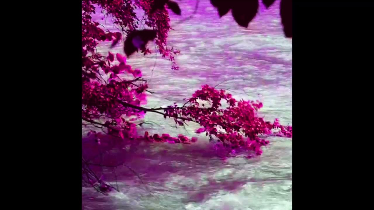 (Free)Iayze x Jace! Type Beat”chasing you”