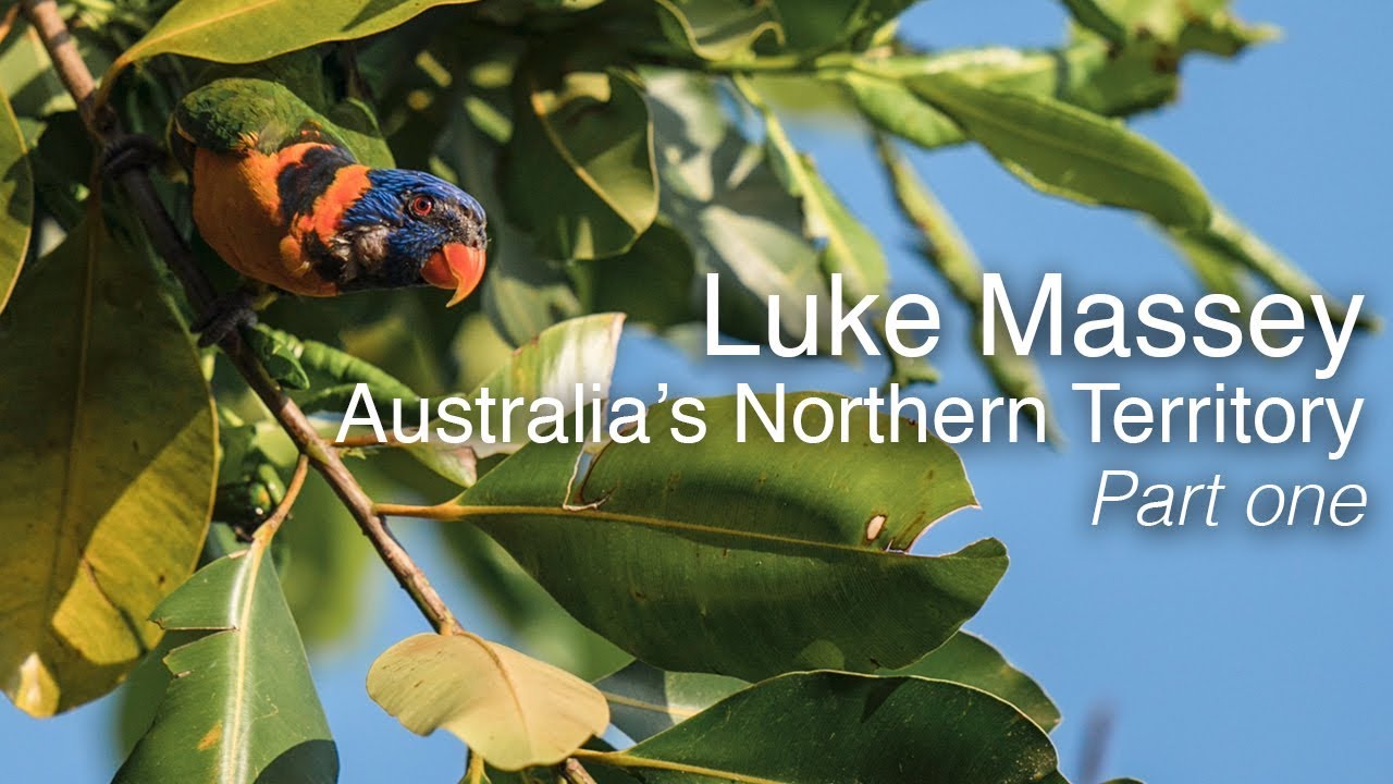 Photographing wildlife in Australia's Northern Territory | Part 1