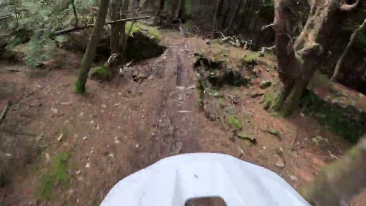 Tollymore mtb wolf trail into fallen tree