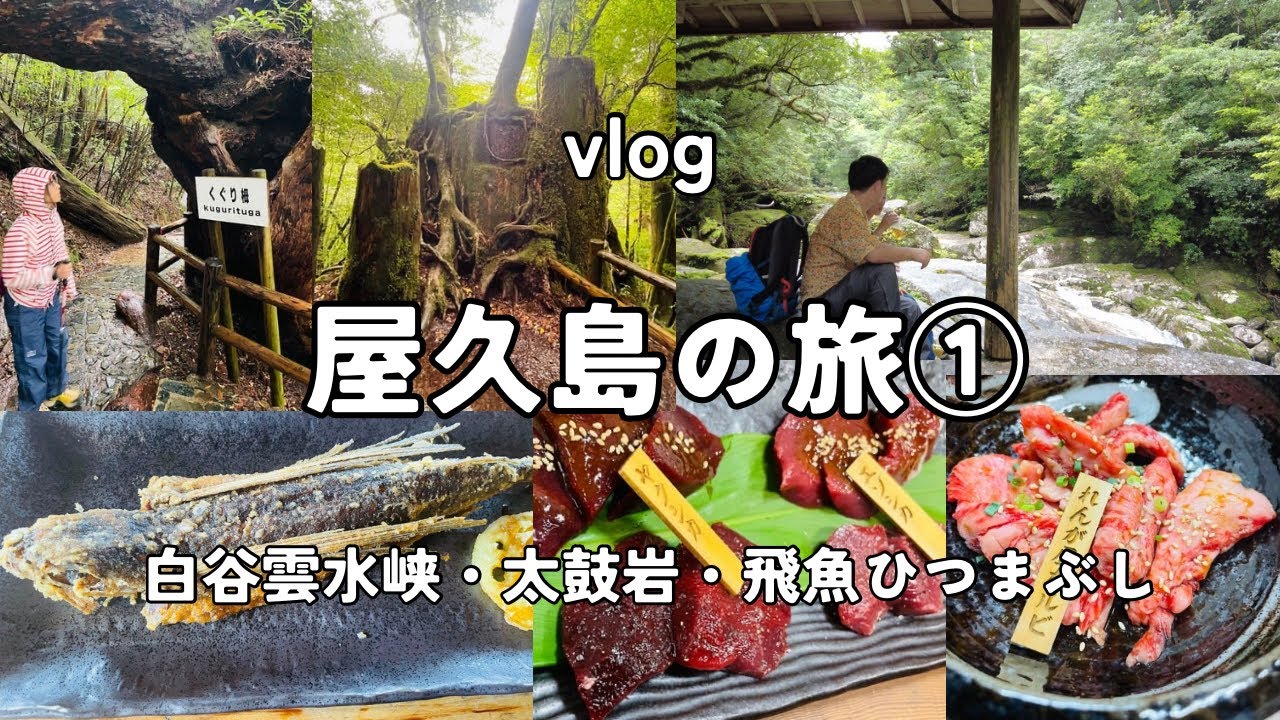 vlog 屋久島①☀️/屋久どん🍲/屋久杉ランド🌲/杉の里🏡/れんが屋🍖