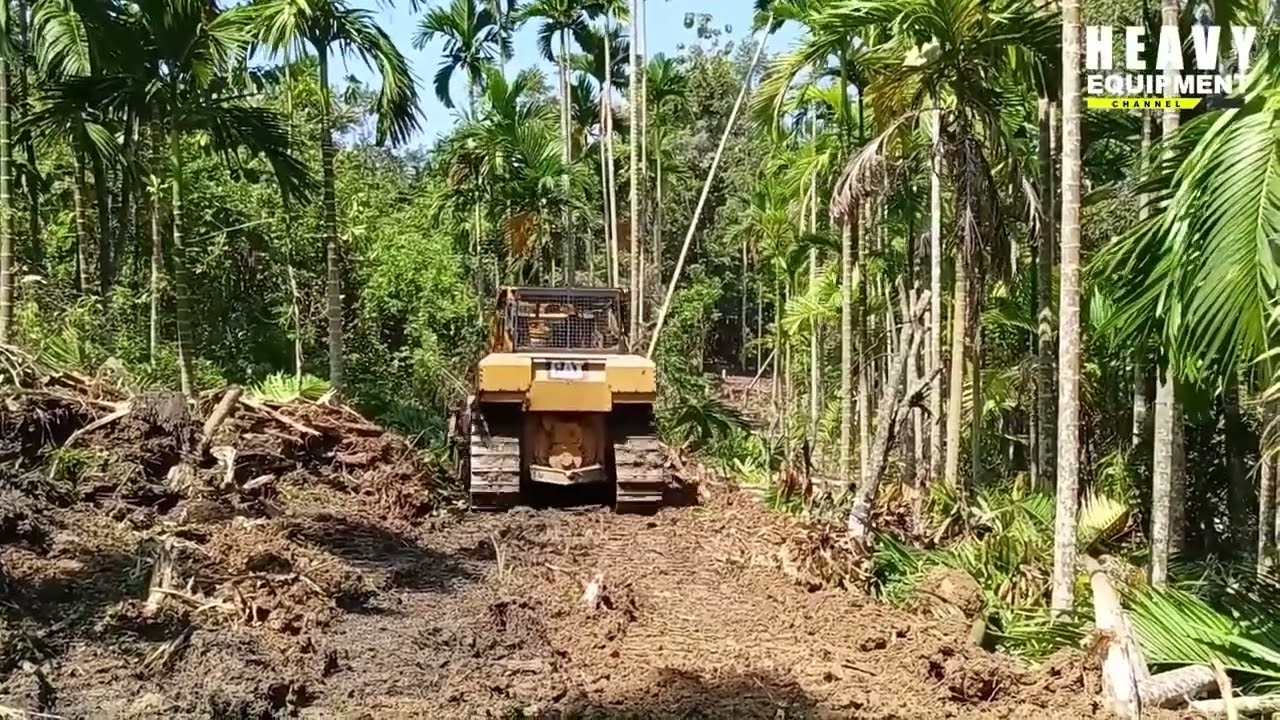 Excellent Work, CAT D6R XL Bulldozer Operator Works to Open New Roads in the Plantation