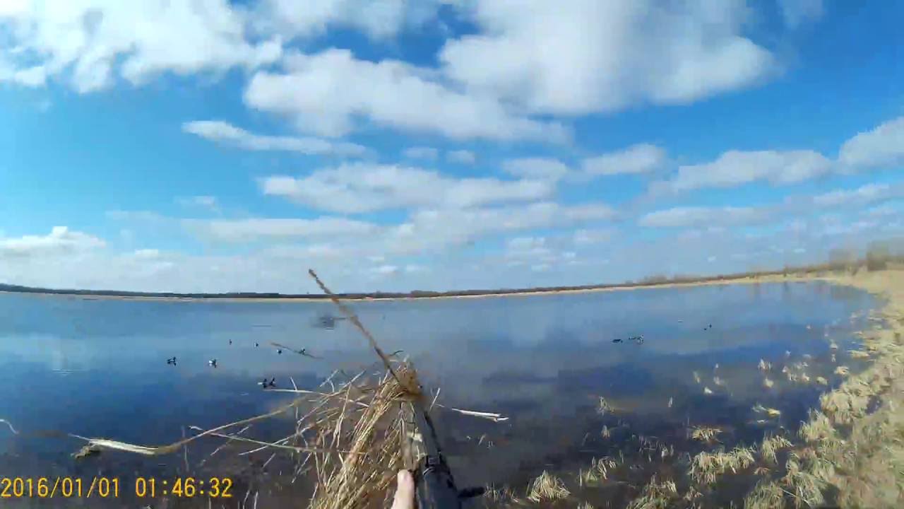 Охота ну утку,весна 2016.Сайга.Двоих одним выстрелом.Hunting in Russia. Saiga 12 .One shot-two duks