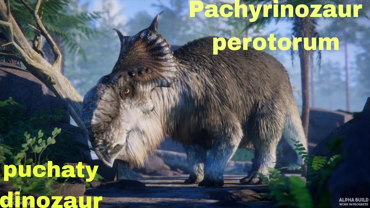 Puchaty dinozaur - Pachyrinozaur perotorum 