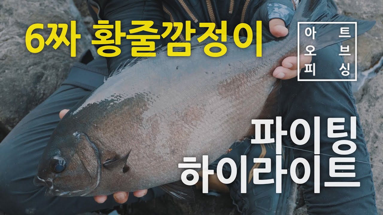 FTV [하이라이트] 6짜 미친듯한 브레이크릴 !!! 꼭 보셔야 합니다. [아트오브피싱] #진상현