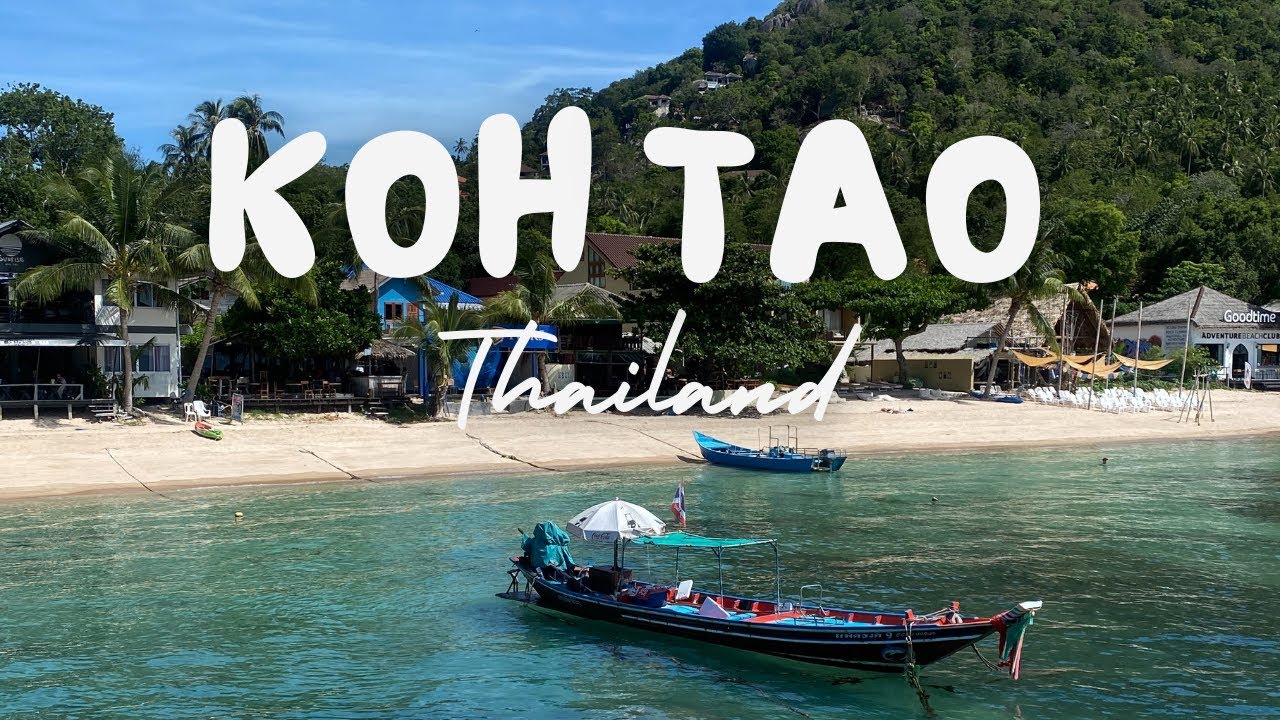Koh Tao Snorkeling Tour - Worth It? 🇹🇭