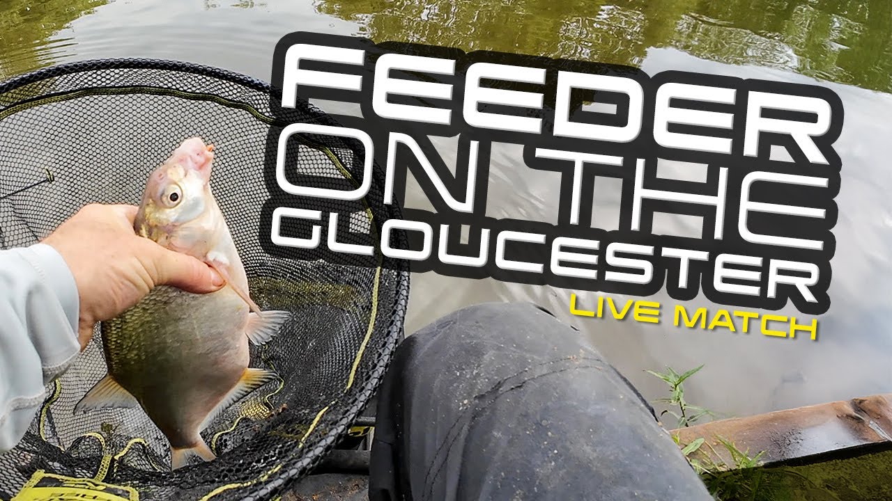 Feeder Masters (Live Match: Gloucester Canal)