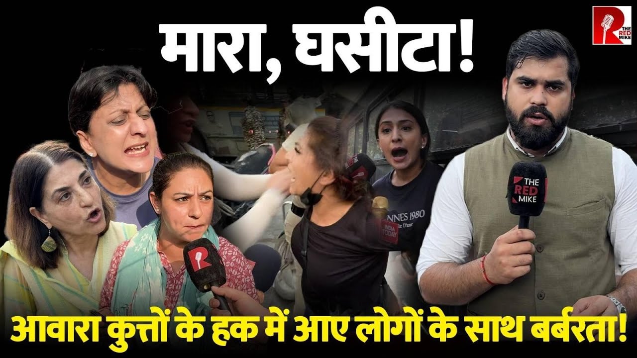 Delhi NCR की सड़कों से Stray Dogs को हटाने वाले Supreme Court के फैसले के विरोध में उतरे लोग!