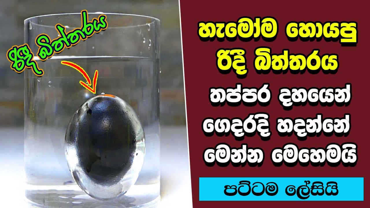 ඔබ මේවා දකින්නේ ජිවිතේ පළමු වතාවට EP:250