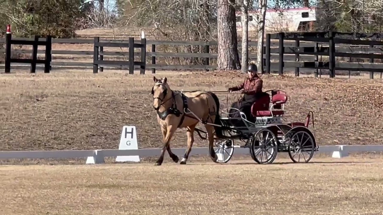 Heritage Hollow Honour - ADS Training C - February 2026