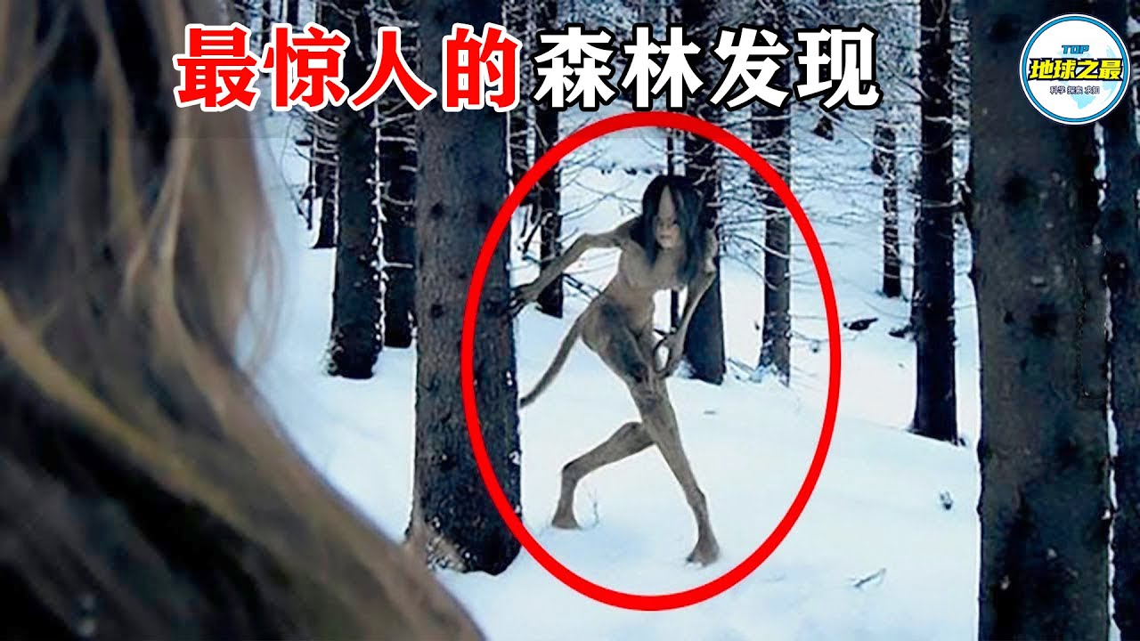 豹尾人身？相机意外拍下探险家遭遇的可怕生物！15个最惊人的森林发现！丨地球之最#冷知识 #排名 #世界之最#世界之最top#地球之最#top10#top5#top15#惊人发现#户外探险