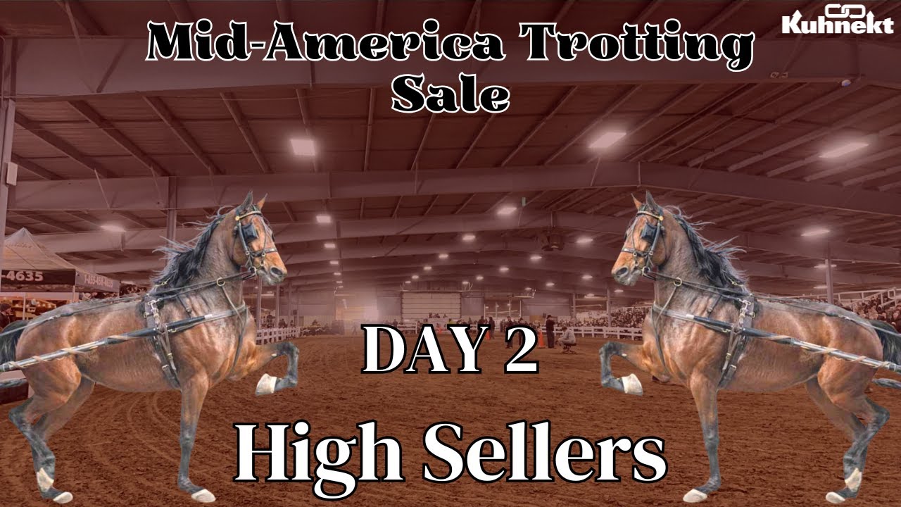 High Sellers from Day 2 at the 2024 Mid America Trotting Sale