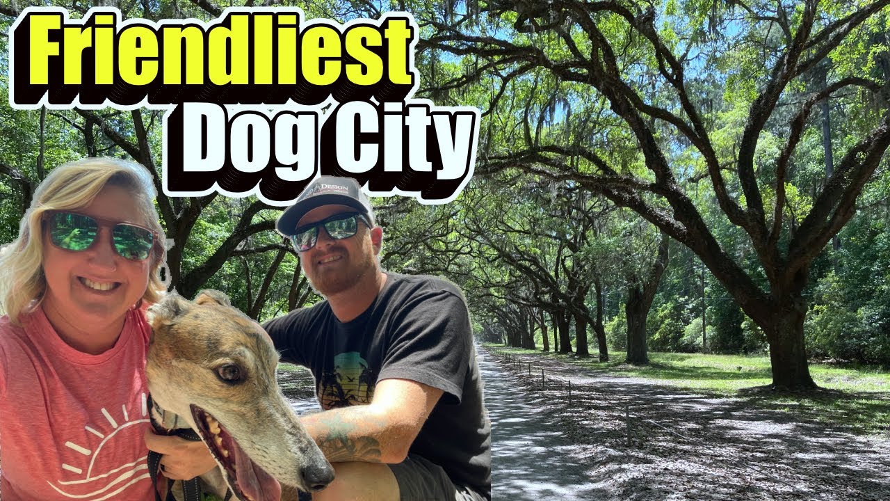 Where all the Local Dogs go! | Savannah, GA Life | RV LIFE