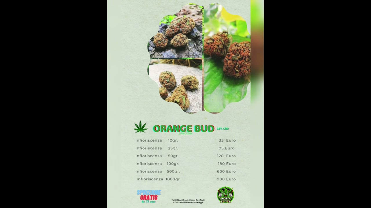 INFIORISCENZE ORANGE BUD GREENHOUSE CBD 18% LIGHT
