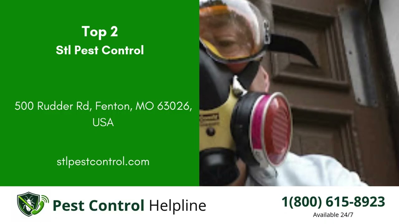Top 3 Pest Control in Des Peres