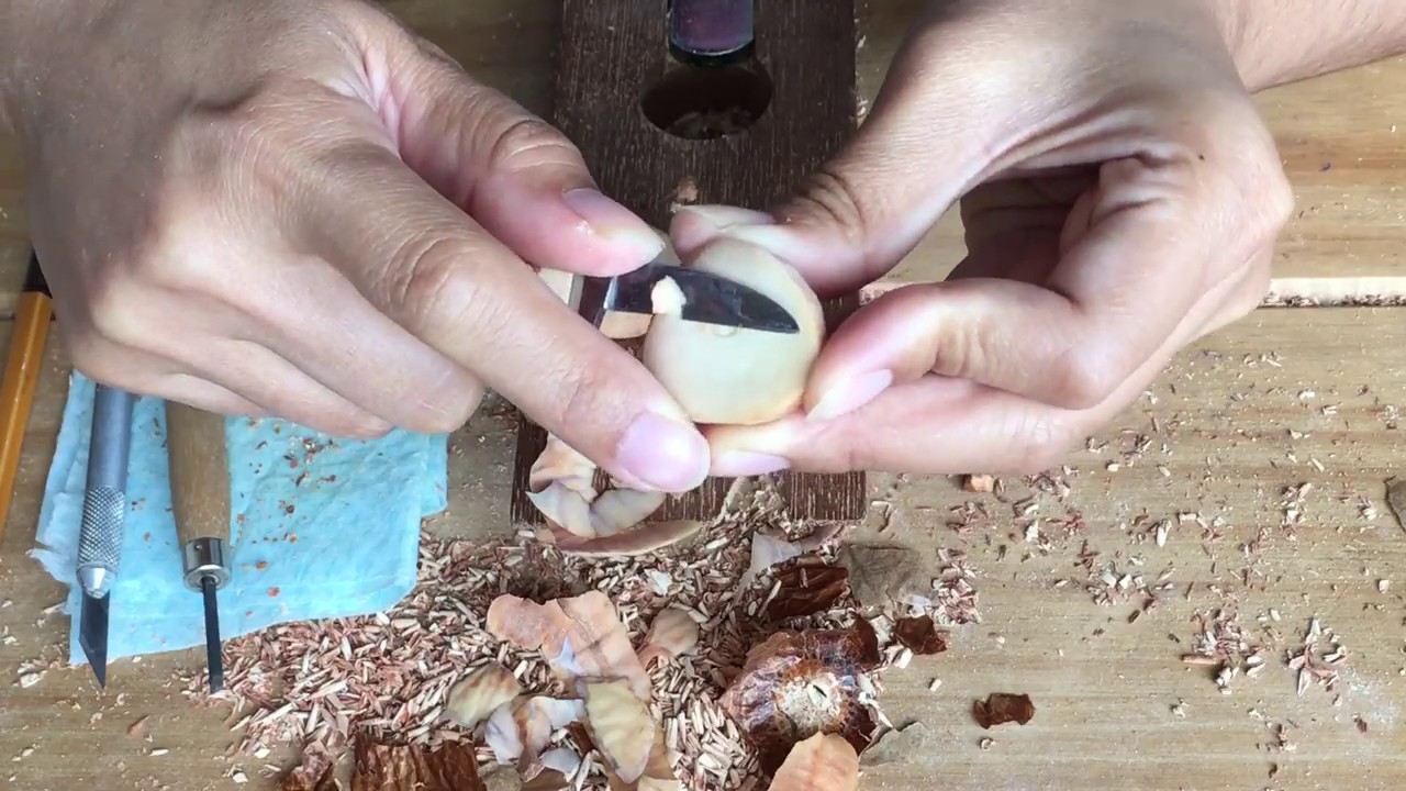 | 如何乾燥酪梨子 | How to Dry Avocado seed for carving - Tutorial (with English subtitles)