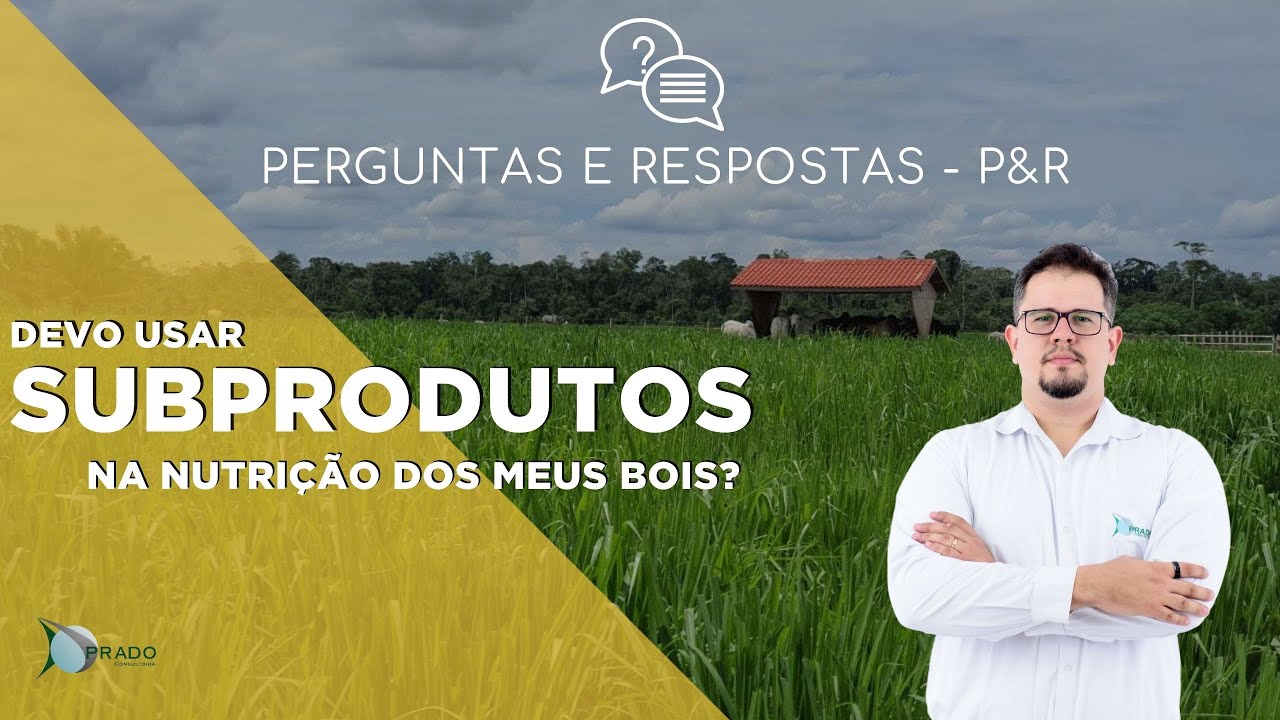 O uso de Subprodutos na Pecu&aacute;ria de Corte