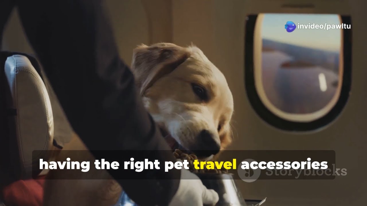 Top Pet Travel Accessories for Stress-Free Journeys 🐾✈️ | Must-Have Gear for Traveling with Pets!