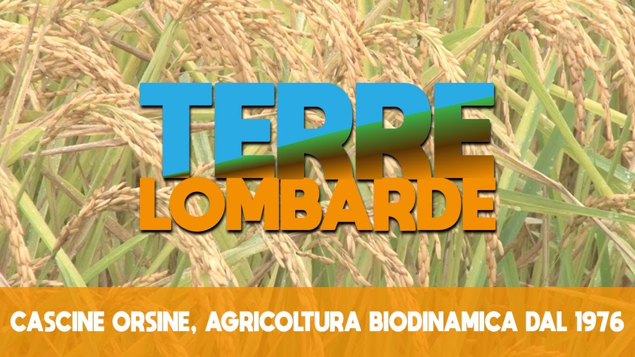 Terre Lombarde - Cascine Orsine, agricoltura biodinamica dal 1976