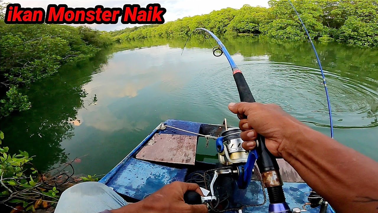 Detik Detik Menegangkan Saat Bertarung Melawan ikan Monster, Seluruh Tubuh Bergetar Semua