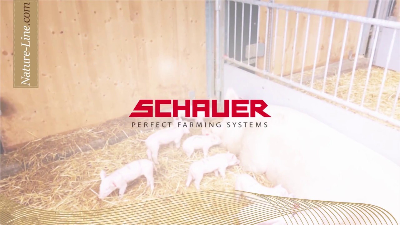 Interview Dr. Werner Hagmüller
