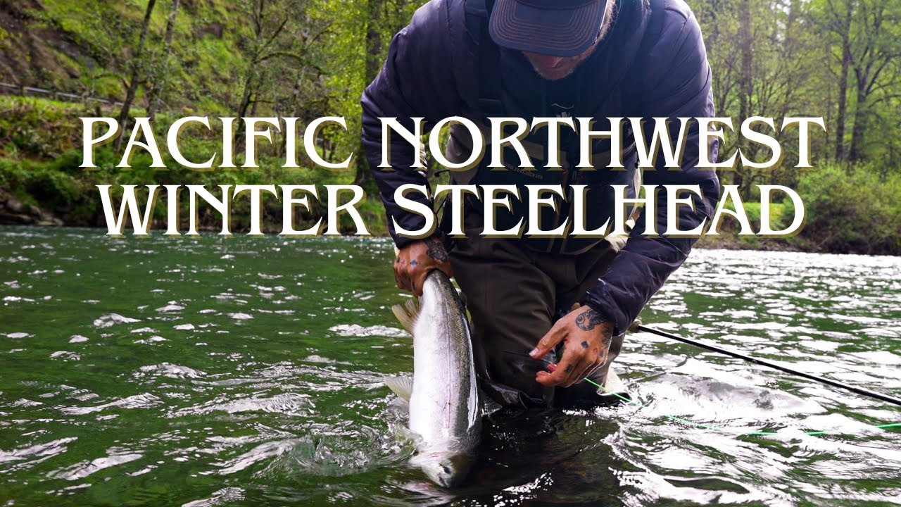 Frozen Waters, Fiery Fights: Winter Steelhead Fly Fishing in the PNW