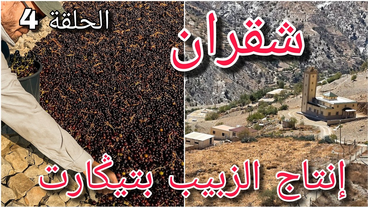 تجفيف العنب لإنتاج الزبيب في دوار تيڭَارت _ شقران_آيث عروس