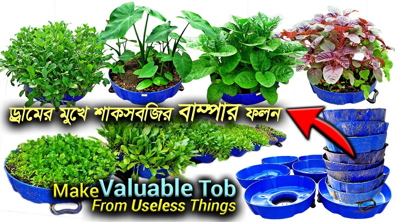 Make Useless Things into Useful Tob / ড্রামের মুখের কাটা অংশ ব্যবহার করে শাকসবজি চাষ / Shallow Tob