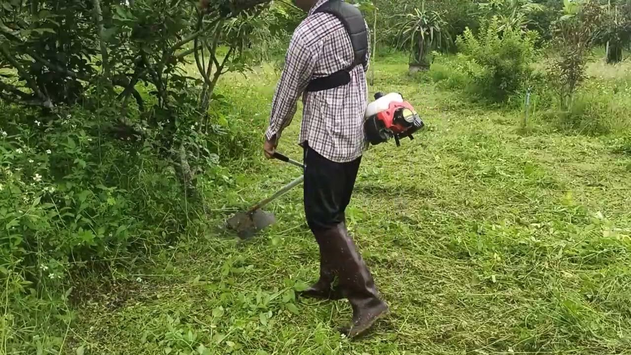 ฤดูกาลตัดหญ้า ep 3