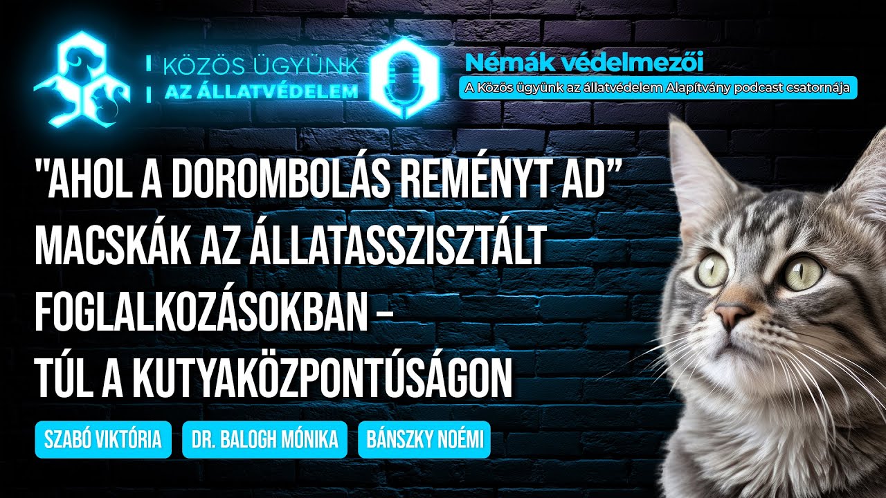 Ahol a dorombolás reményt ad: Macskák az állatasszisztált foglalkozásokban - Némák védelmezői S01E06