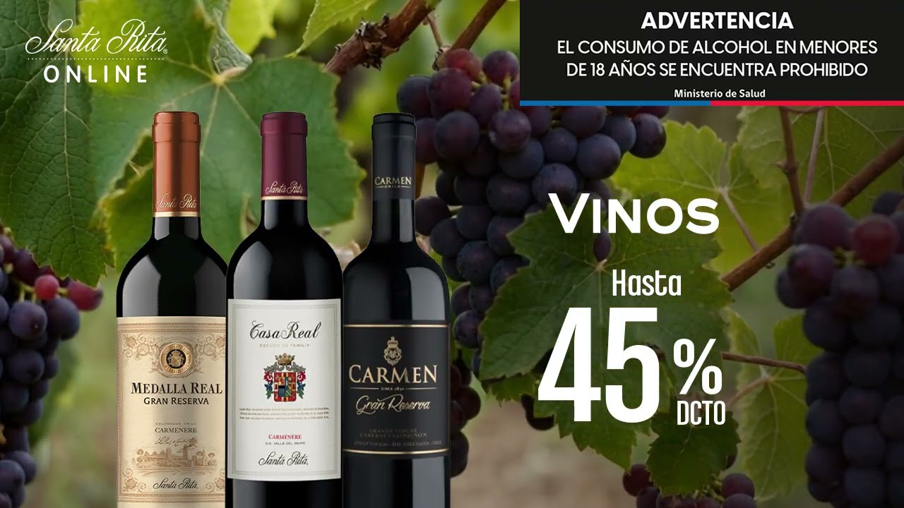 Descubre el Early Access de Santa Rita Online 🍇✨