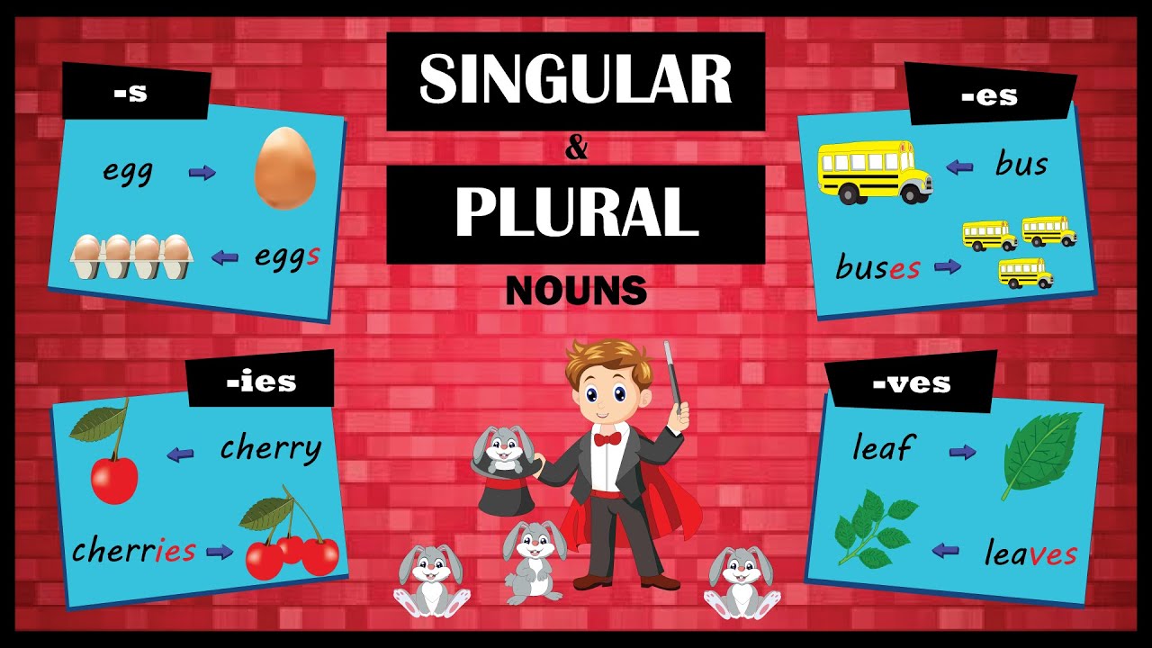 Singular and Plural Nouns | Learn the Rules to Make Plurals
