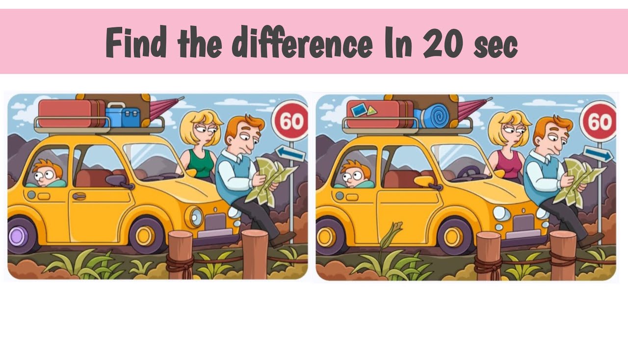 Spot the Difference Challenge: 20 Seconds to Win! 