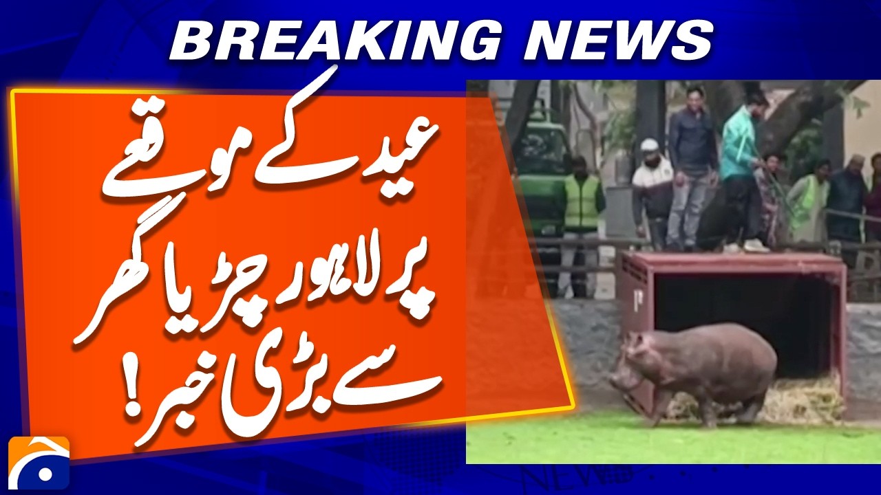 Big news from Lahore Zoo on Eid | Geo News