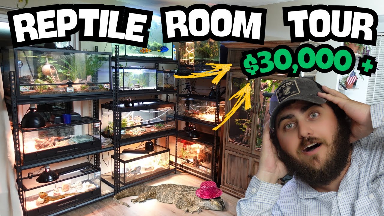 My CRAZY Reptile Collection! Room Tour 2025 (Updated)!