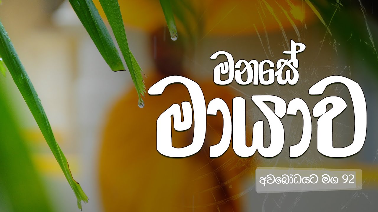 අවබෝධයට මග 92 | මනසේ මායාව