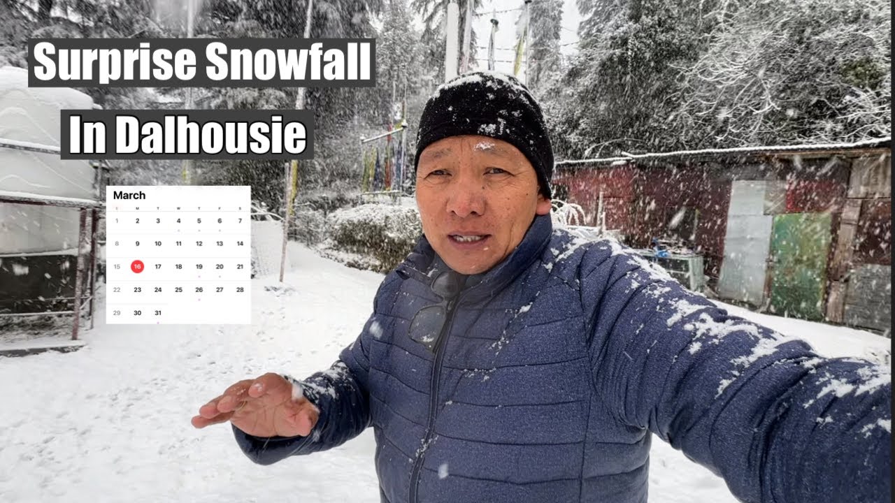 Unexpected Snowfall In Dalhousie || Tibetan YouTuber ||