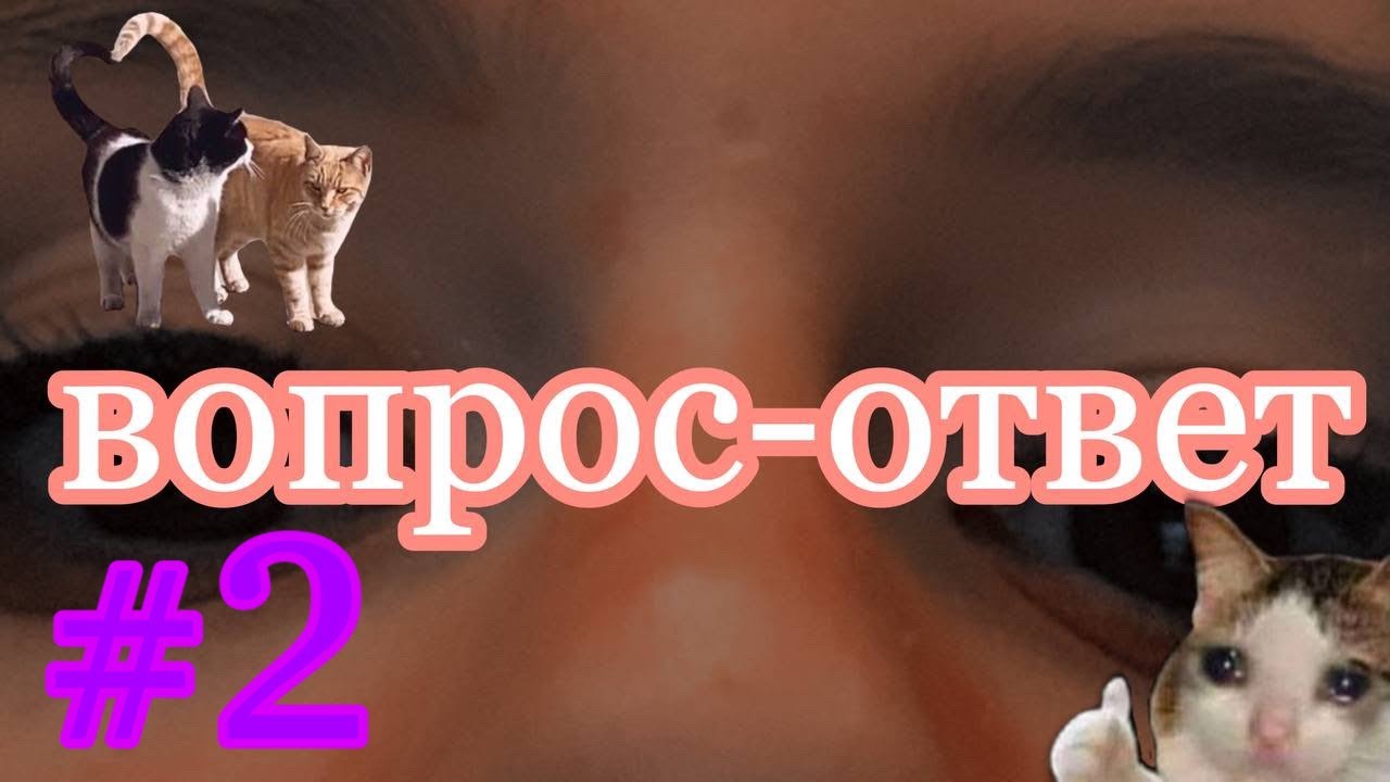 ✨ВОПРОС-ОТВЕТ #2✨ //как я пришла на воздушную акробатику?//на что снимаю видео?//