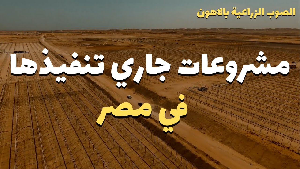 تصوير درون |  الصوب الزراعية باللاهون الفيوم - شاهد جزء من مشاريع مصر الجاري تنفيذها وتستعد للتشغيل